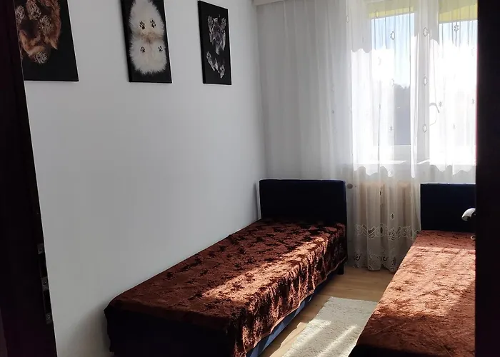 Apartament