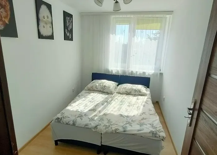 Apartament