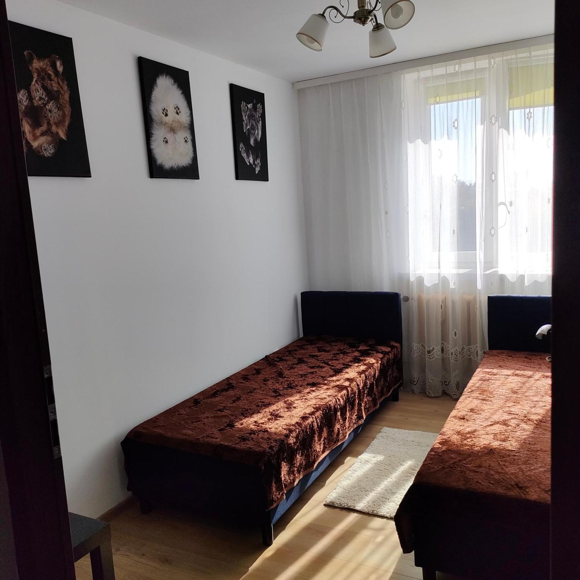 Apartament Apartment Koden