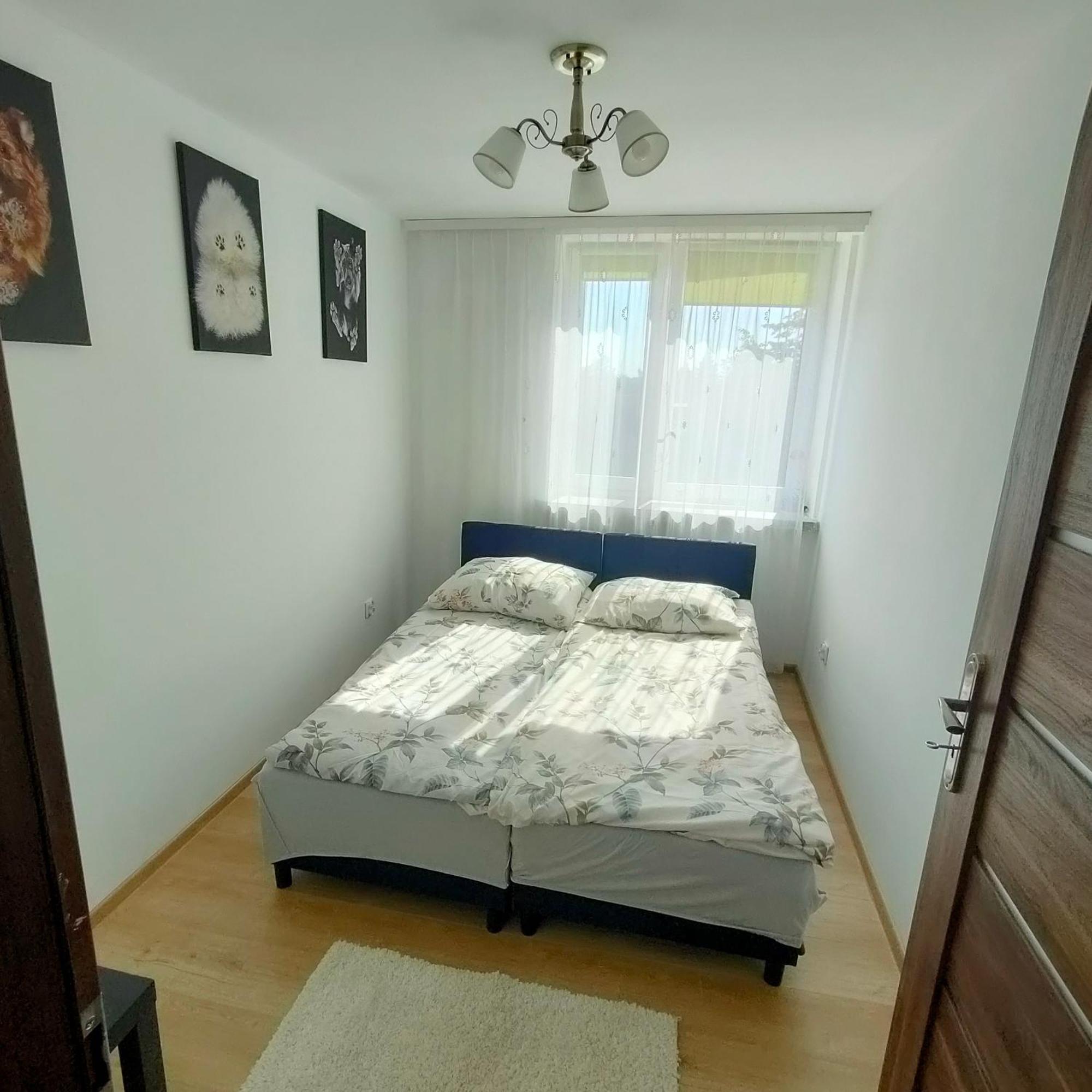 Apartament Koden